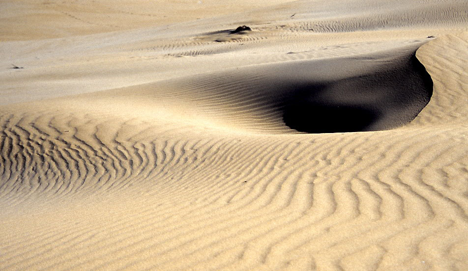 Dune landscape