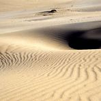 Dune landscape