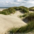 Dune Landscape