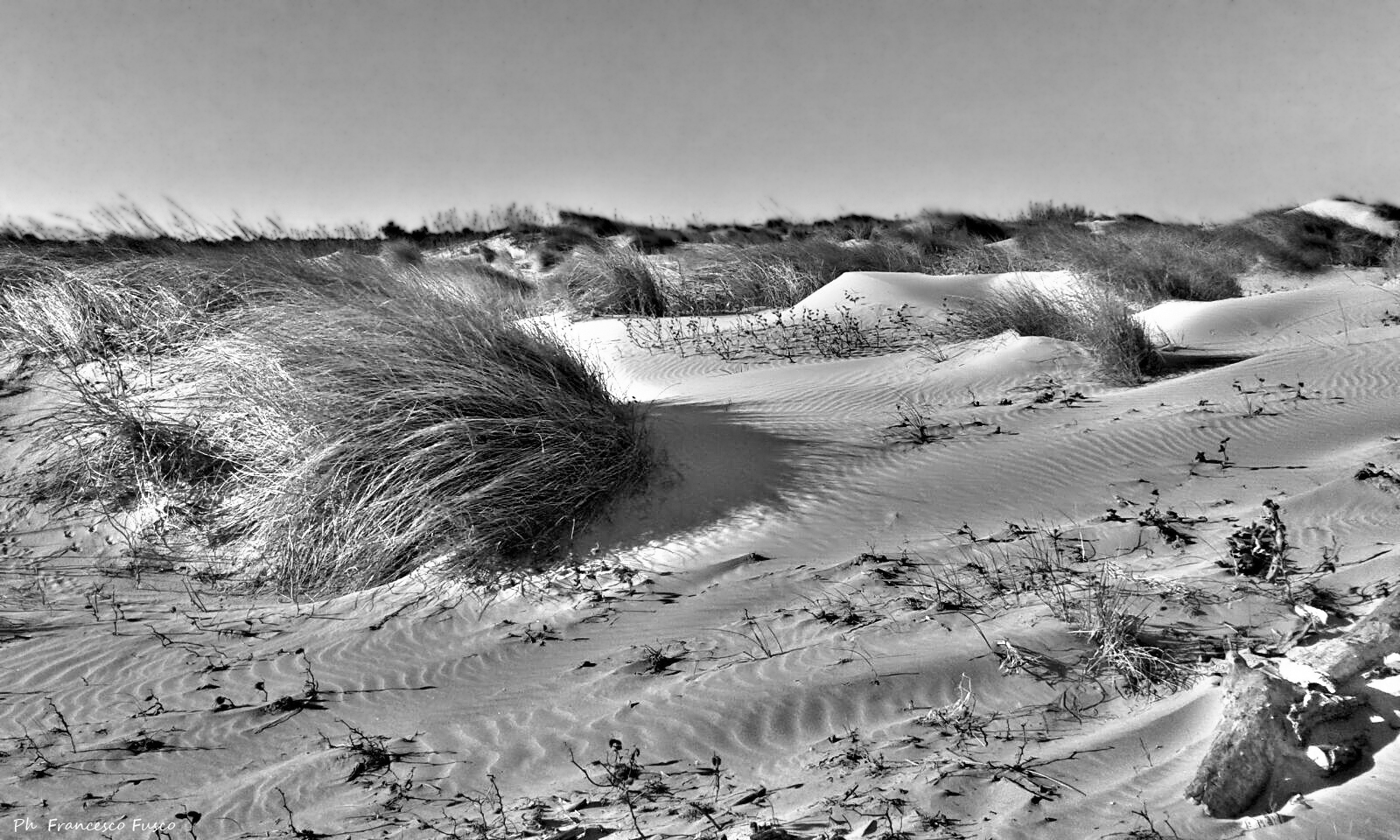 Dune Marine