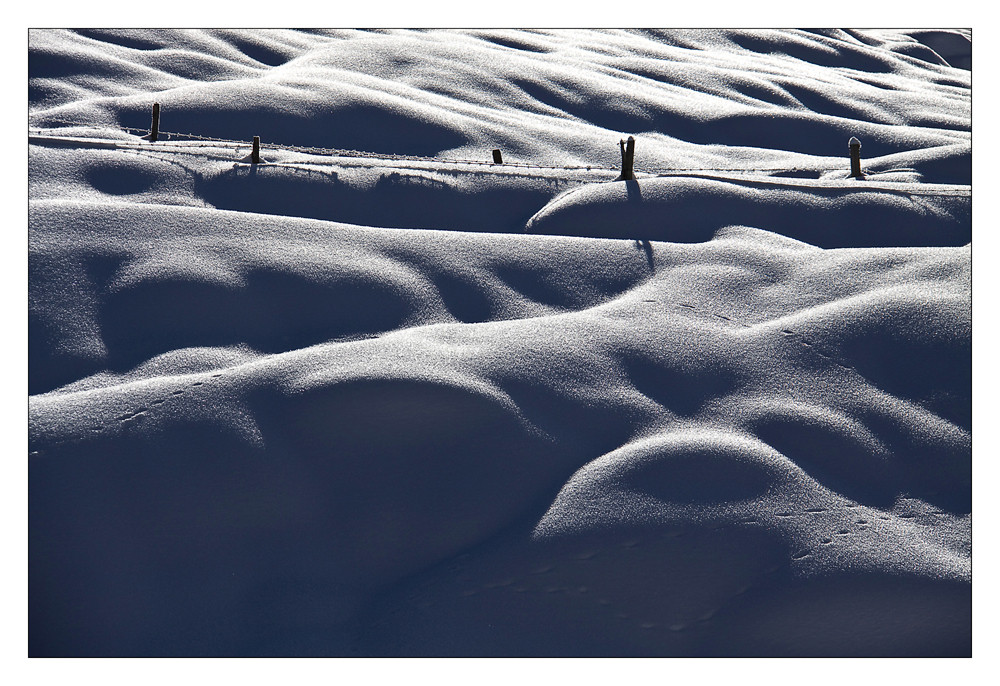 dune mosse