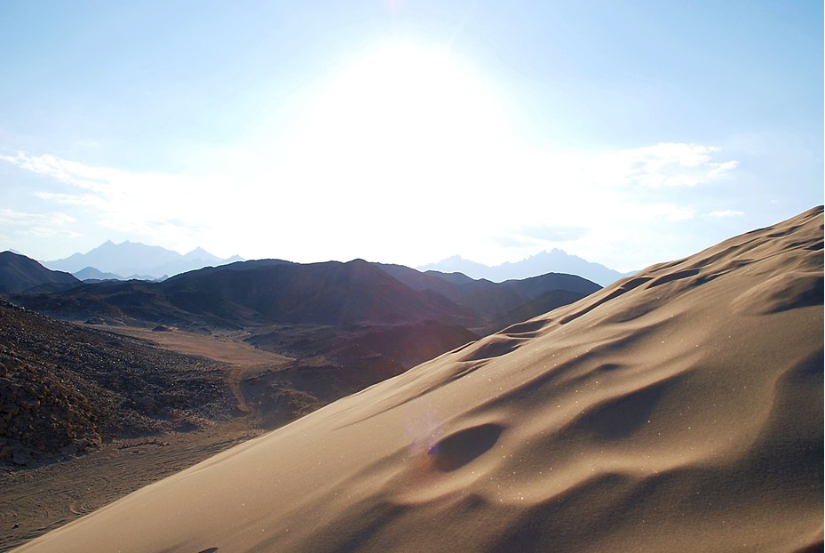 Dune mosse