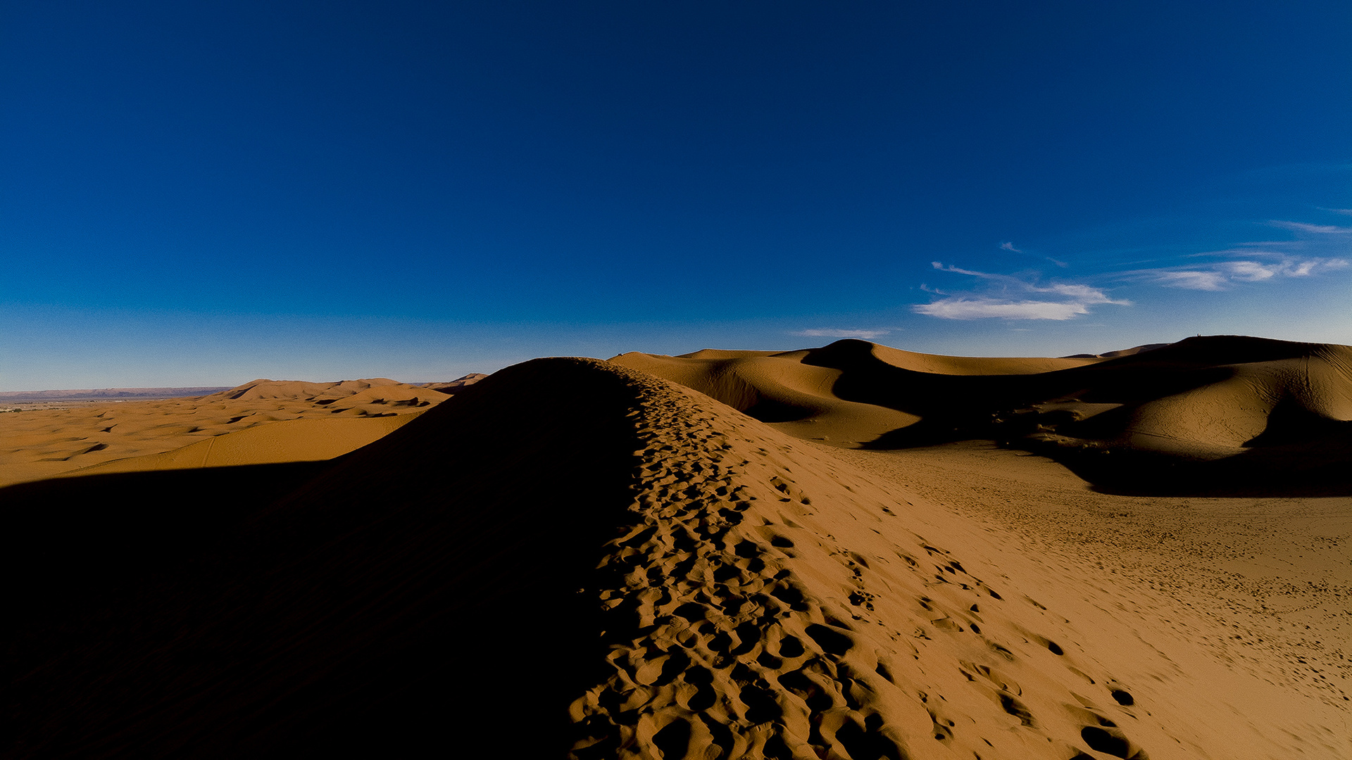 dune mosse