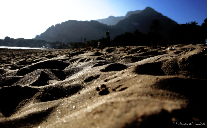 Dune mosse