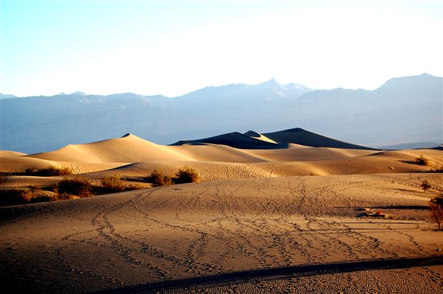 dune nel deserto