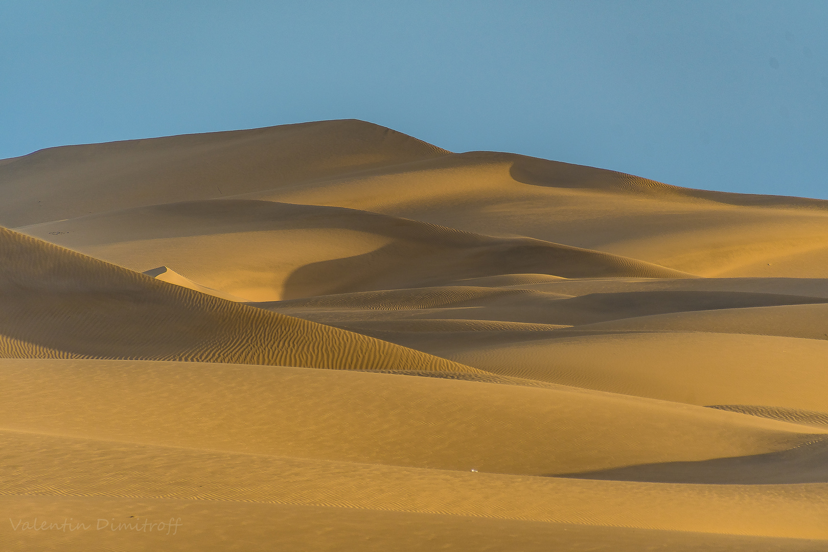 Dune of Maspalomas