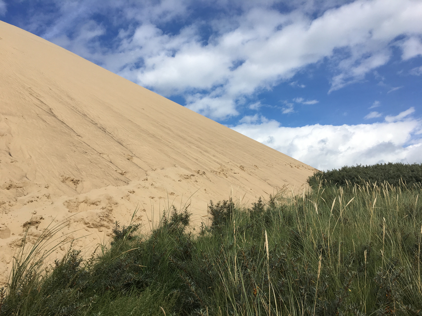 dune / other side / Dänemark / Jammerbucht / 082017