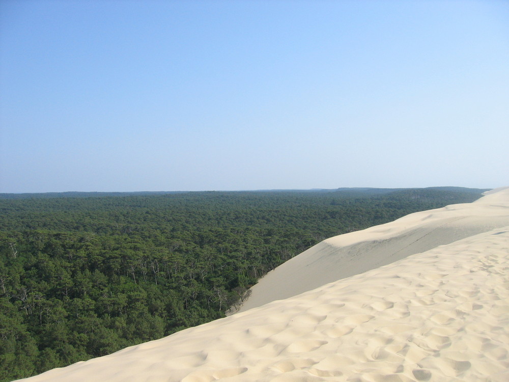 Dune Pyla