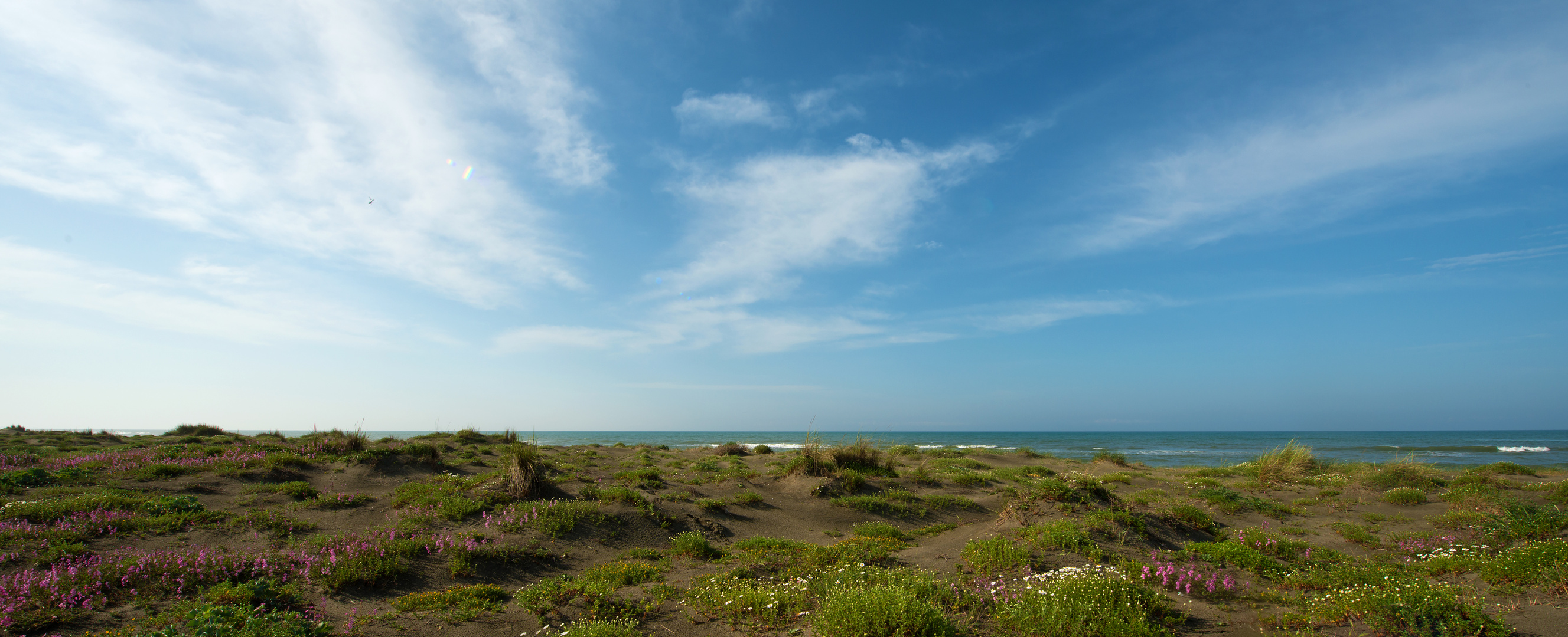 DUNE ROMANE