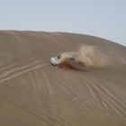 Dune-Safari