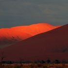 Dune Sunrise