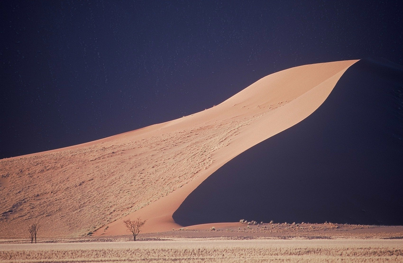 Dune Tongue