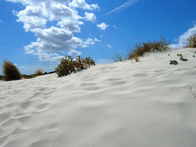 Dune tricolori