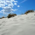 Dune tricolori