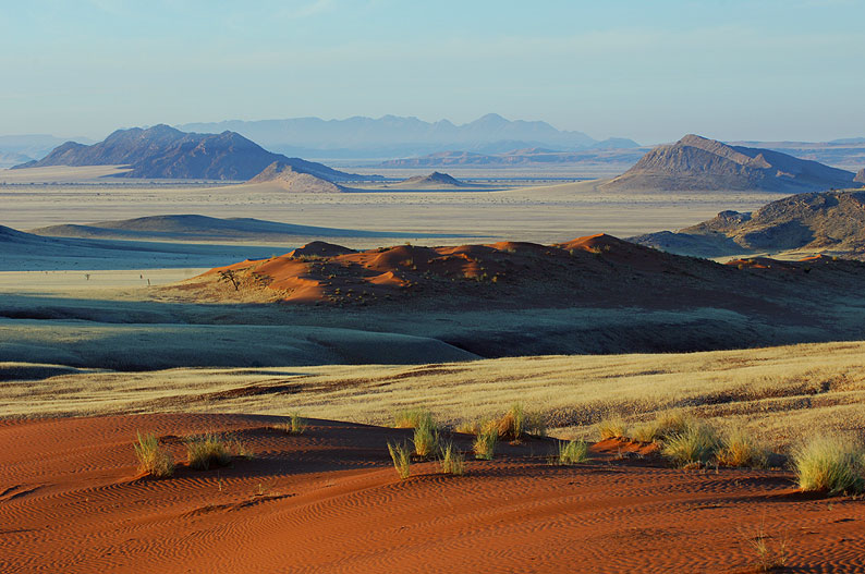 Dune View