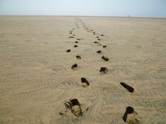 Dune Walking...