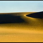 Dune3