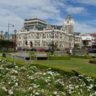 Dunedin