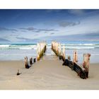 Dunedin Beach - New Zealand