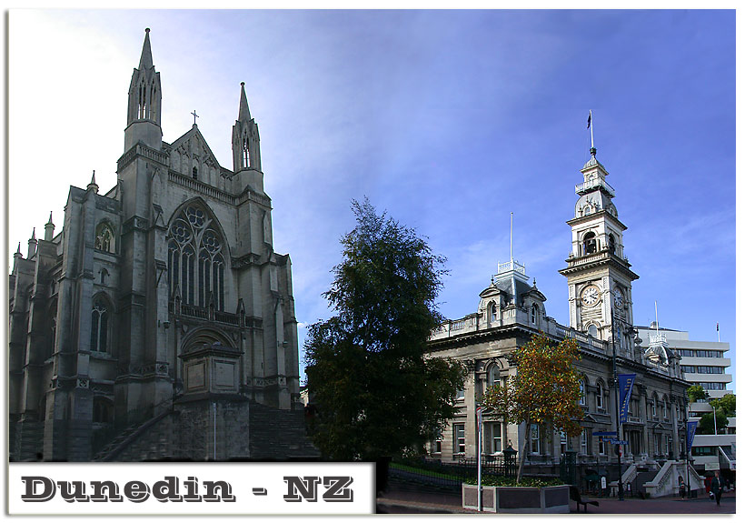 Dunedin Panorama