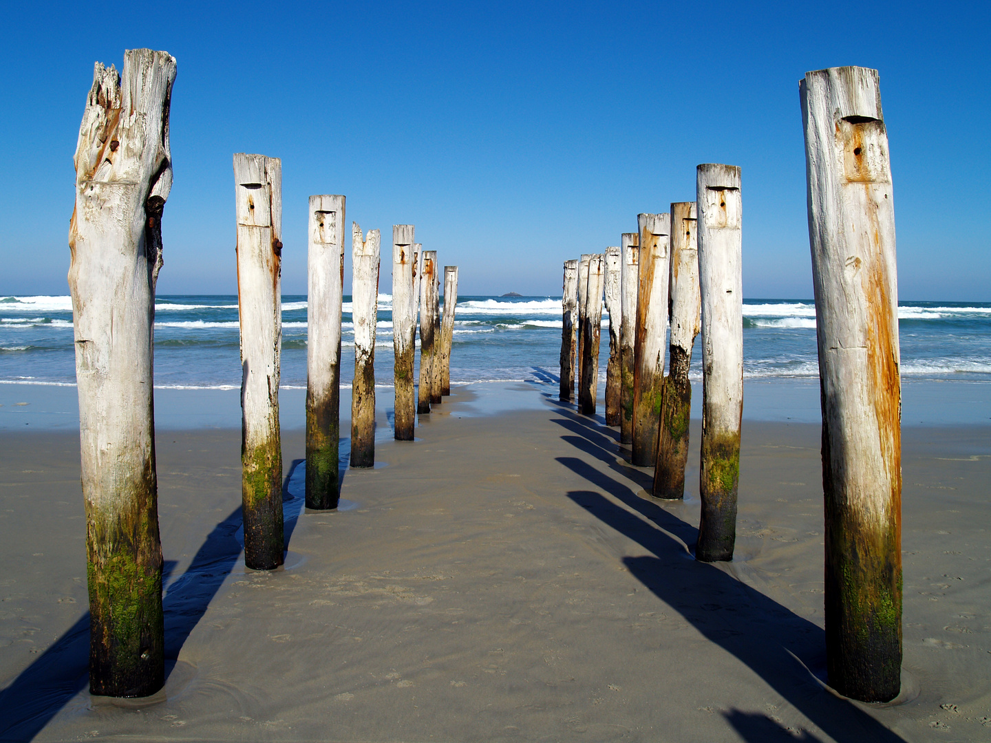 Dunedin - Saint Clair Beach