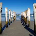 Dunedin - Saint Clair Beach