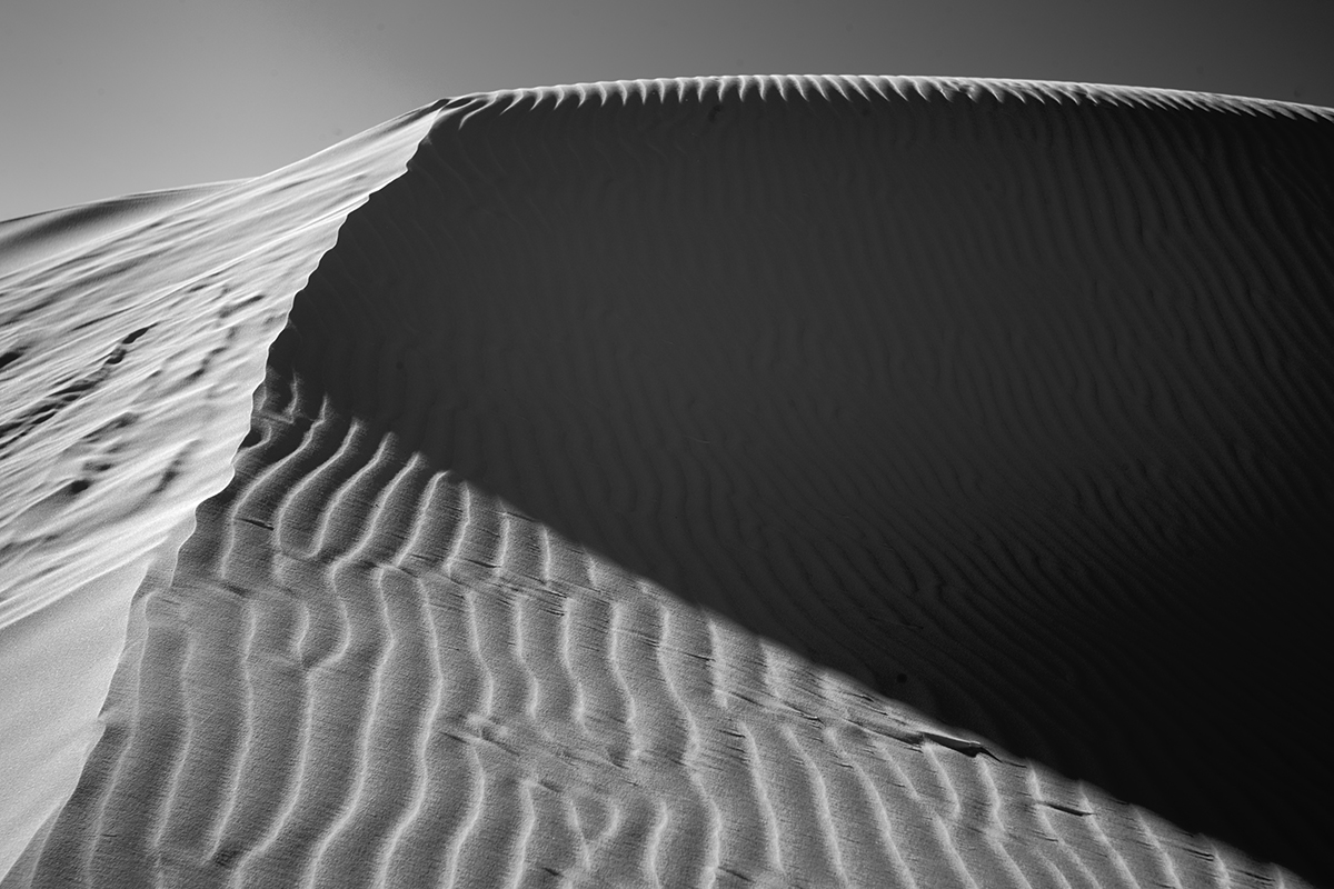 Dunes #1341