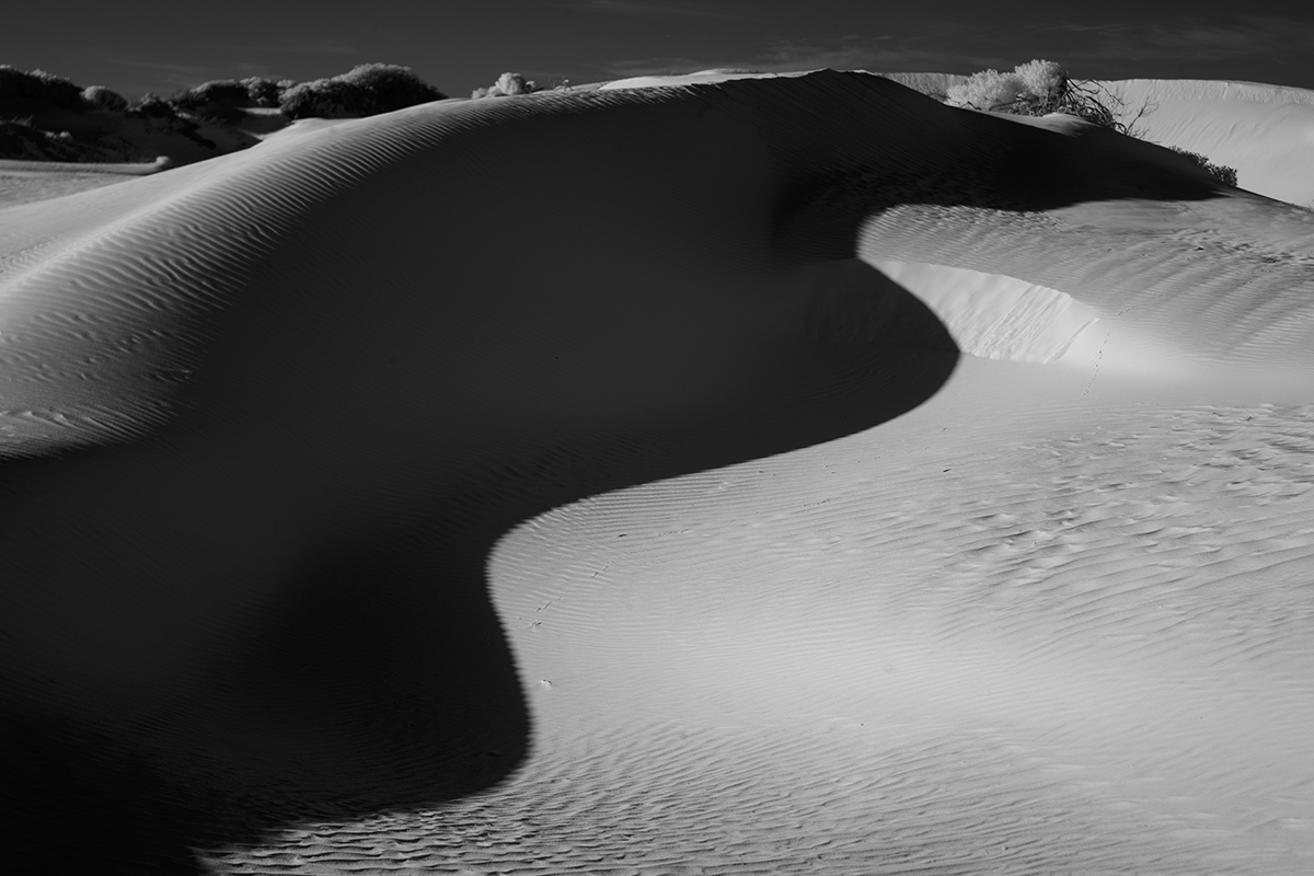 Dunes #1342