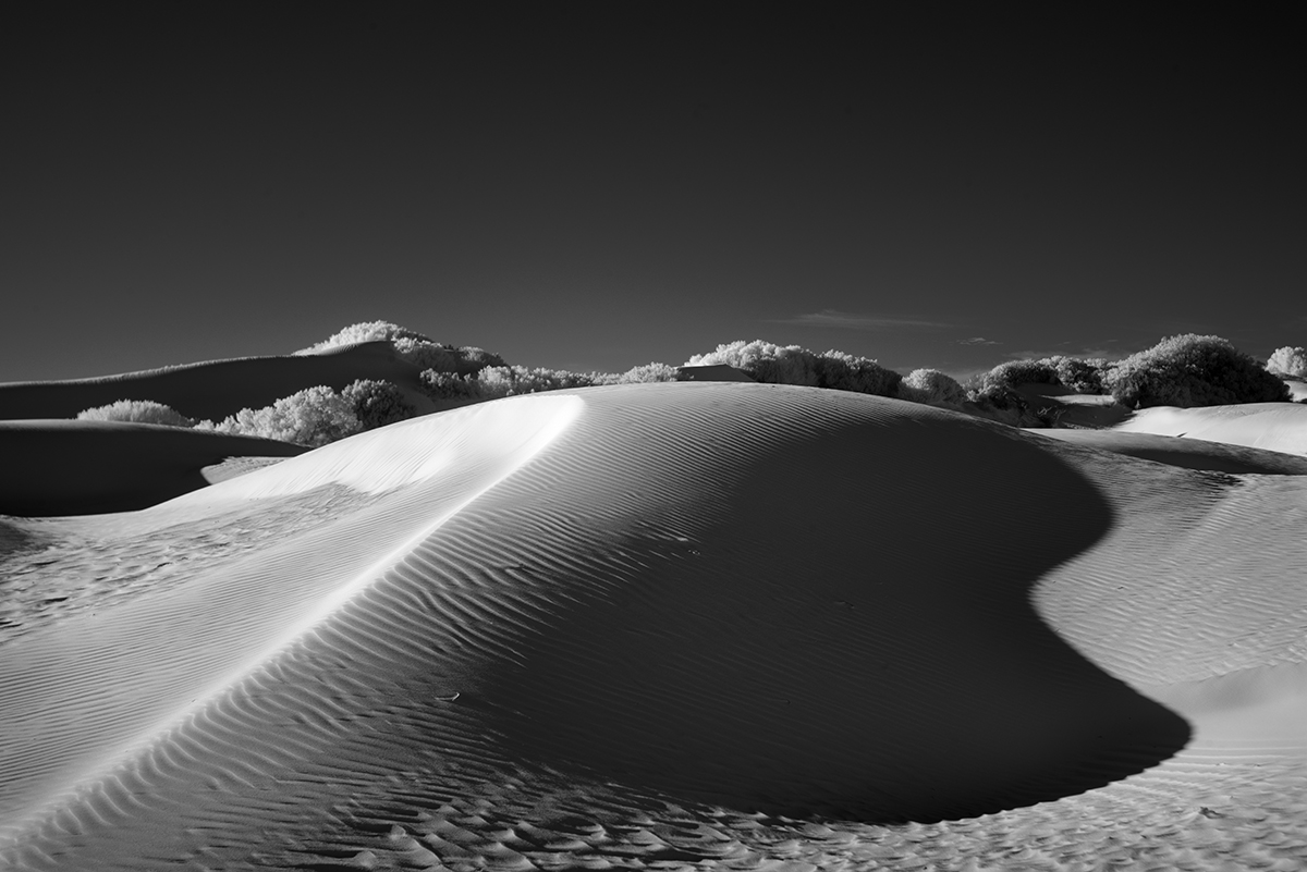 Dunes #1346