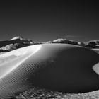 Dunes #1346