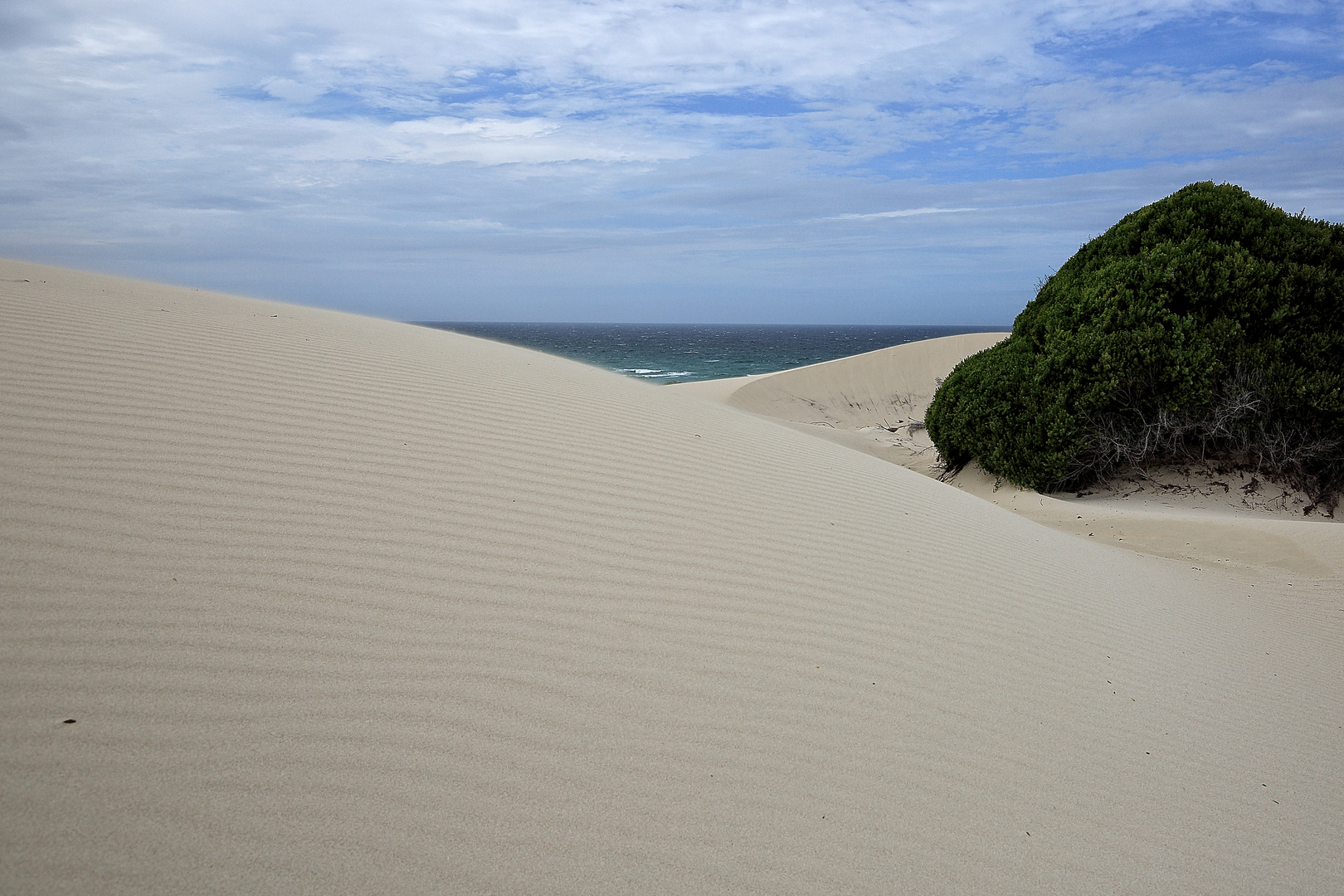 DUNES