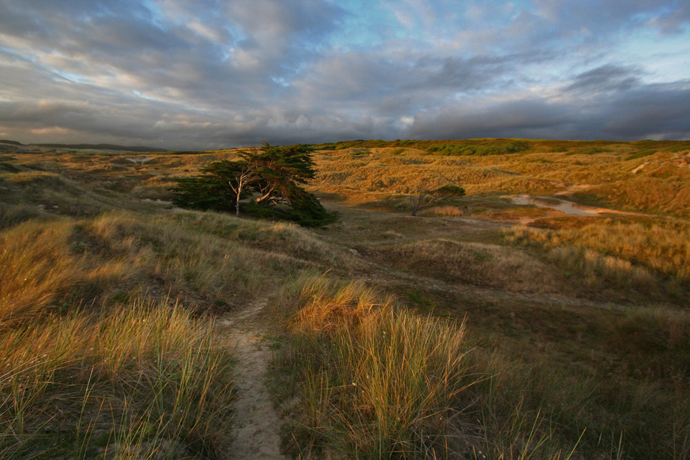 dunes ...