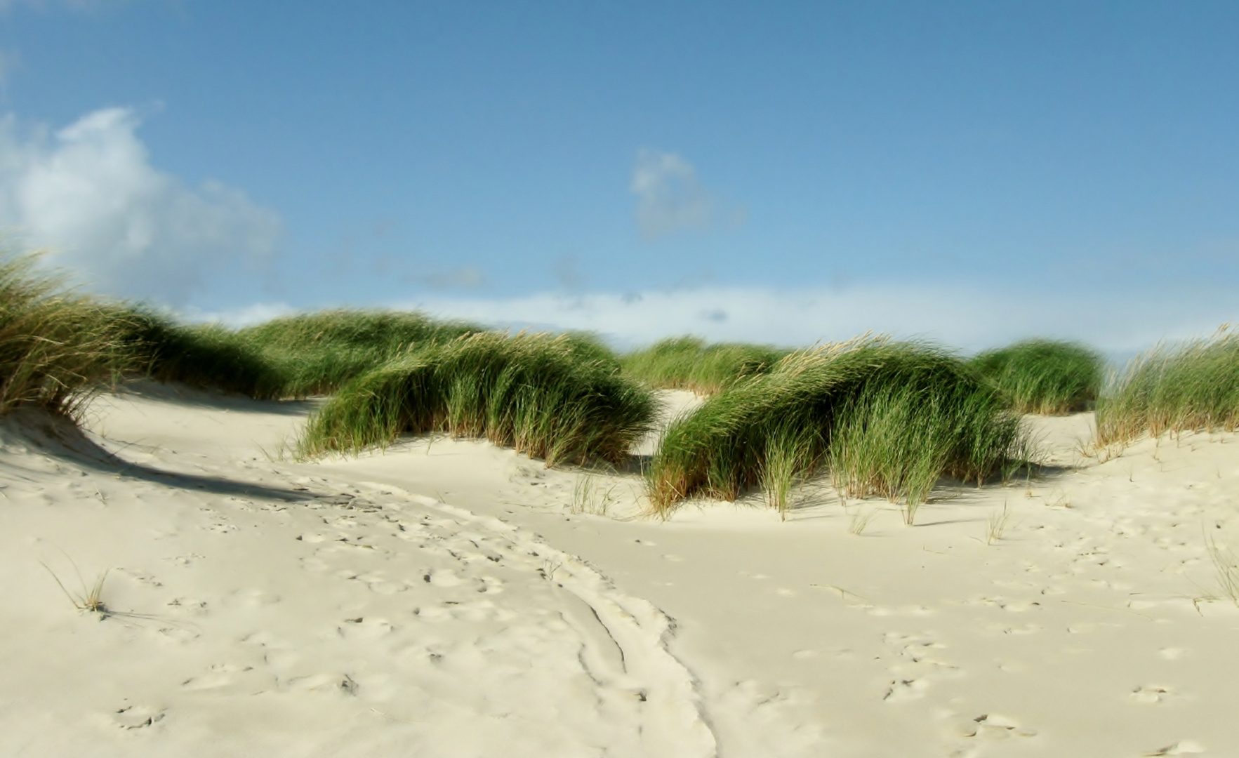 dunes