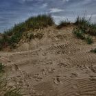 dunes