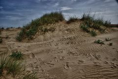 dunes