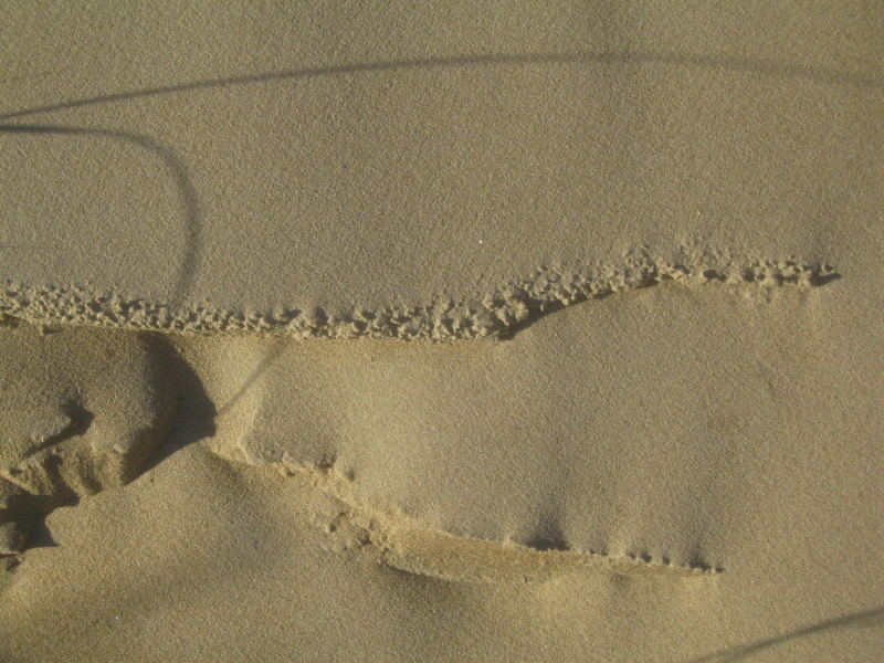 dunes-art