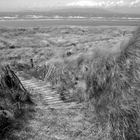 Dunes at Allonsby, UK