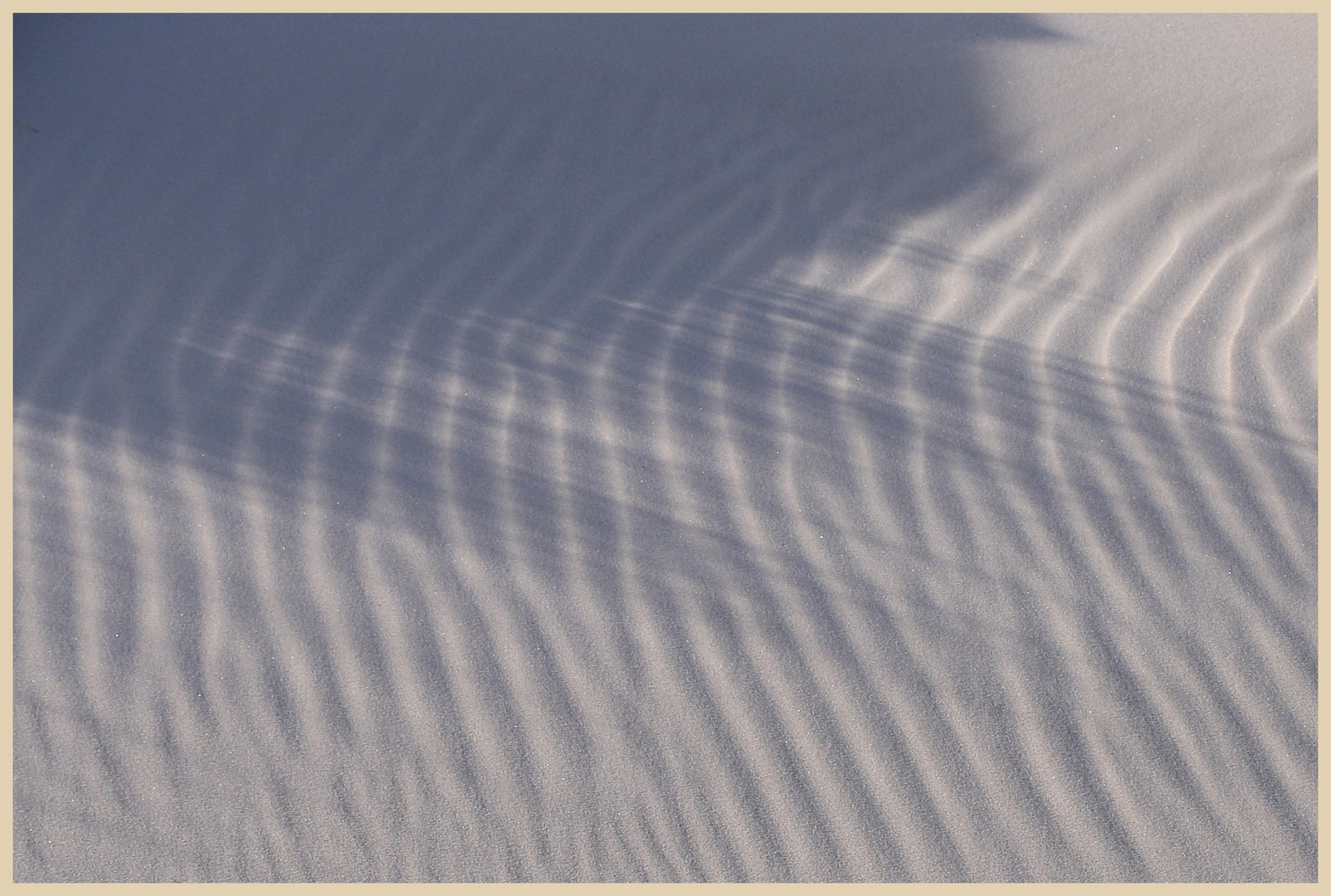 dunes at beadnell 12