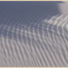 dunes at beadnell 12