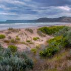 Dunes at Victoria's coastline