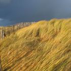 Dunes Baie d'Audierne