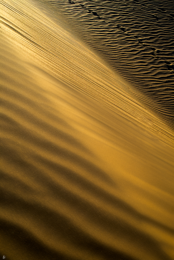 dunes