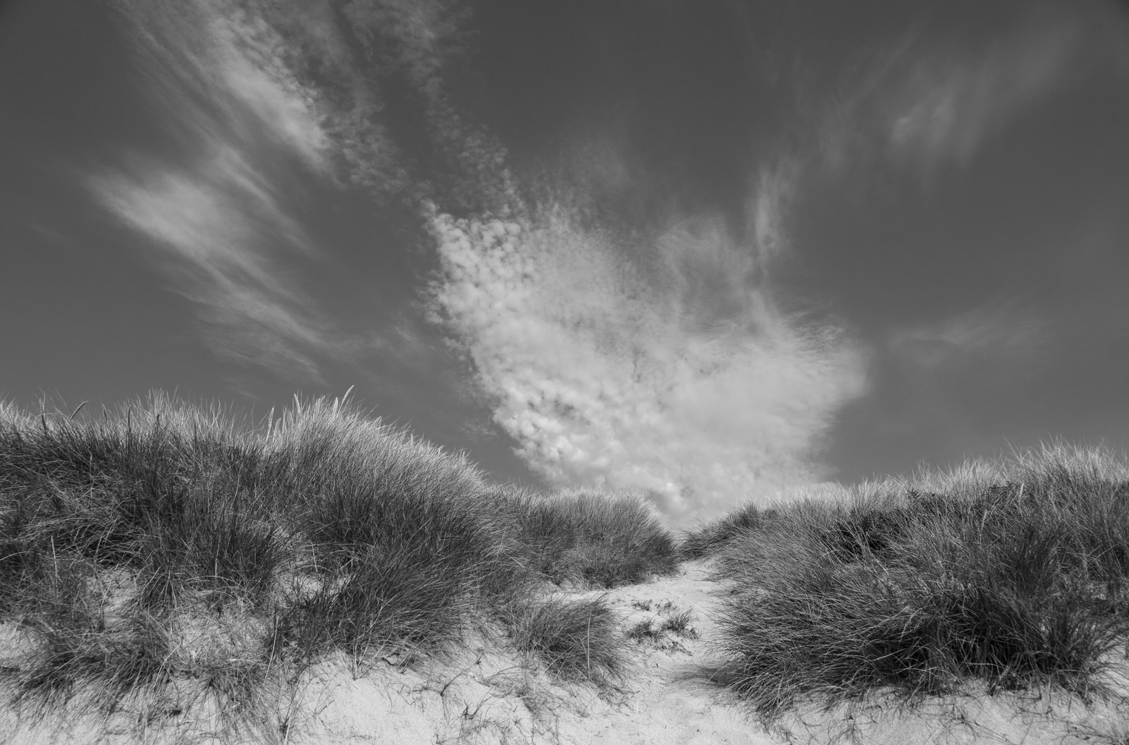 [ Dunes & Clouds ]