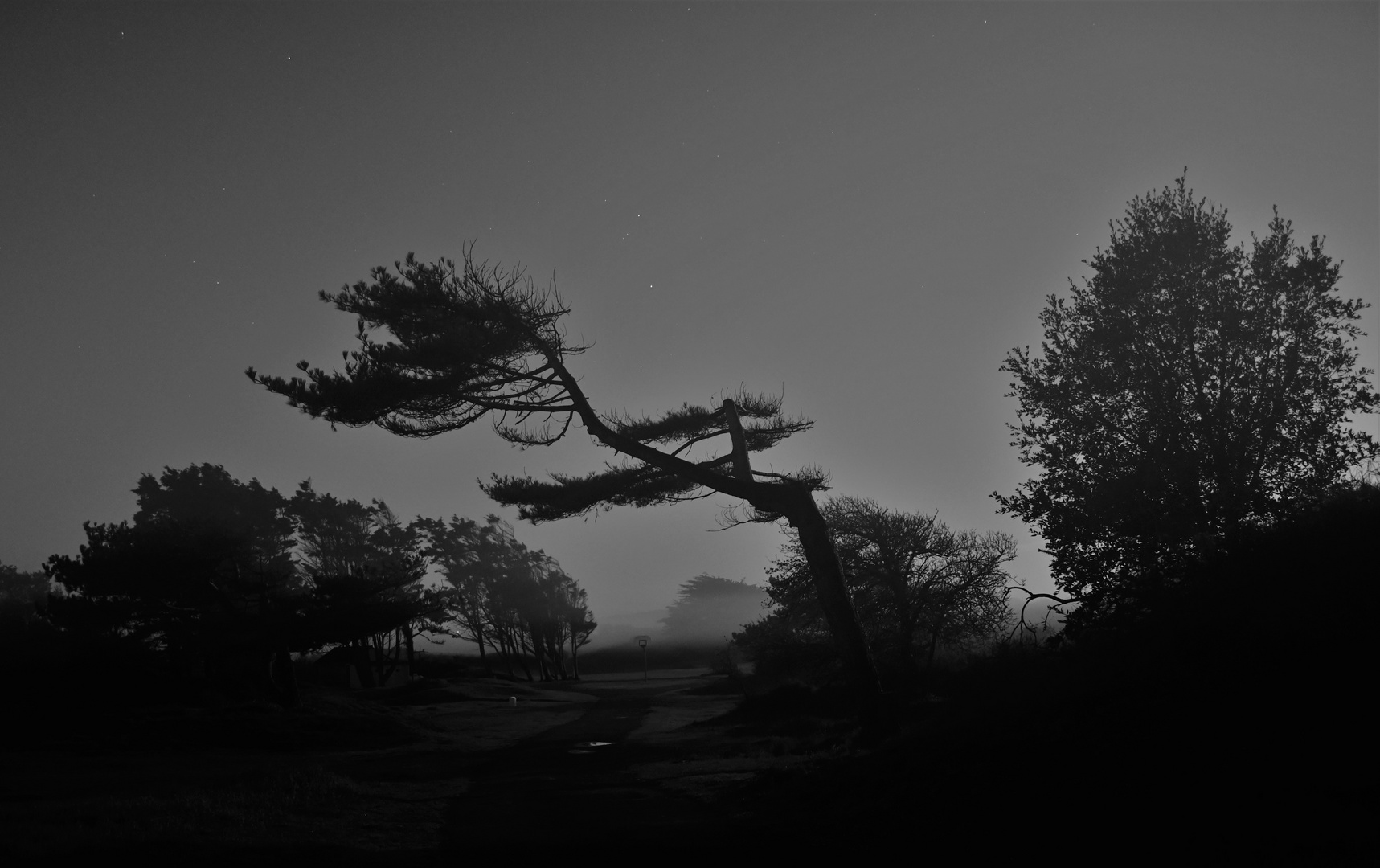 Dunes dans les brumes