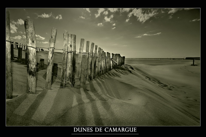 Dunes de Camargue