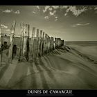 Dunes de Camargue