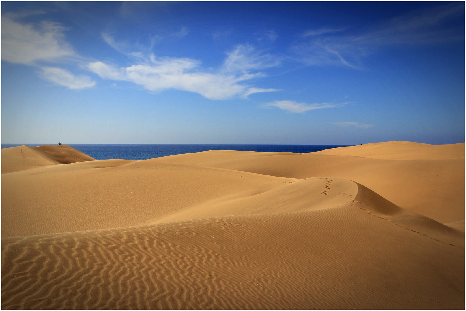 ~ dunes de maspalomas ~