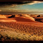 DUNES DE MASPALOMAS