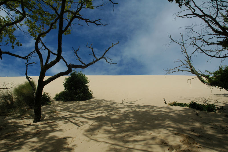 dunes de pilat, frankreich