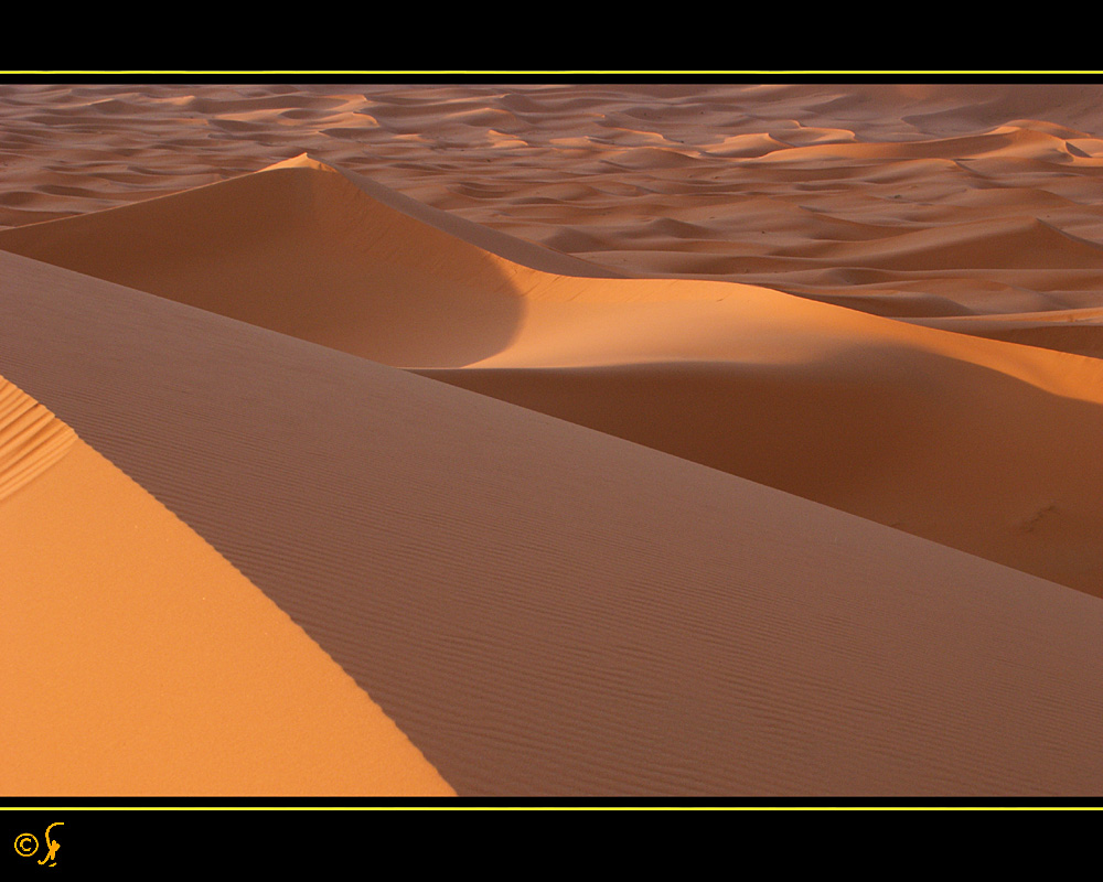 Dunes de sable